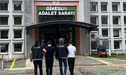 Giresun'da uyuşturucu operasyonunda 2 kişi tutuklandı