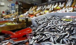 Muğla’da Karadeniz hamsisi kilosu 250 TL’den satışta