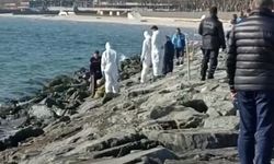 Bakırköy'de denizde ceset görüldüğü ihbarı üzerine arama yapıldı