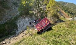 Sinop’ta freni boşalan kamyon şarampole uçtu: 1 ölü