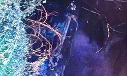 Malatya’da şarampole yuvarlanan araç alev aldı: 1 yaralı