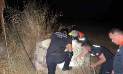 Kuyuya düşen kedi itfaiye tarafından kurtarıldı