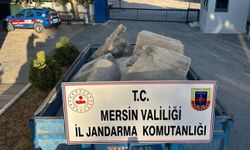 Mersin’de Bizans dönemine ait 7 parça eser ele geçirildi: 2 gözaltı