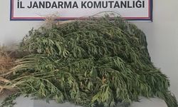 Gaziantep’te kaçakçılık ve uyuşturucu operasyonlarında 139 şüpheli yakalandı