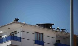 Konya’da 5 katlı apartmanda yangın paniği