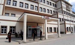 Bolu’da ayı saldırısında 1 kişi yaralandı: Saldırı sonrası av kararı