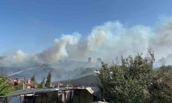 Otluk alanda çıkan yangın, fabrikaları ve villayı tehdit etti