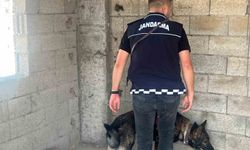 Kilis’te okul önlerinde trafik ve asayiş tedbirleri uygulandı
