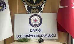 Sivas’ta 5 bin kullanımlık kâğıda emdirilmiş uyuşturucu ele geçirildi