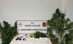 Düzce’de uyuşturucu operasyonunda 1 tutuklama