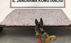 Denizli’de jandarma uyuşturucu tacirlerine geçit vermiyor
