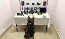 Mersin’de uyuşturucu operasyonu