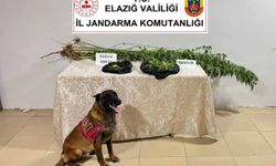 Elazığ’da uyuşturucuyla mücadele