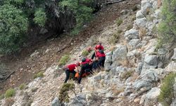Avustralyalı turistin cesedi tarihi Likya Yolunda bulundu