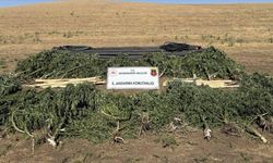 Diyarbakır’da uyuşturucu operasyonu: 28 şüpheli hakkında işlem yapıldı