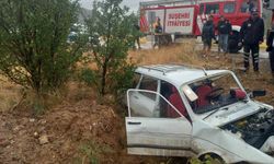 Yoldan çıkan araç kaza yaptı iki kişi yaralandı