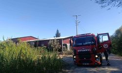 Kamışlık alanda başlayan yangın gıda toptancı deposuna sıçradı