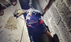 Hatay’da havalandırma boşluğuna düşen kedi kurtarıldı