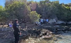 Düzensiz göçmenleri Cennet Adası’na bırakıp gittiler