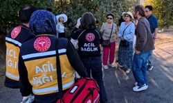 Turistleri taşıyan minibüse tır çarptı: 5 turist yaralı