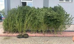 Bursa’da uyuşturucu operasyonu