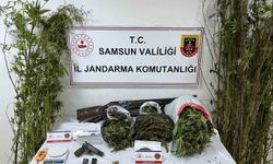 Jandarmadan uyuşturucu operasyonu: Esrar, kenevir ve silah ele geçirildi