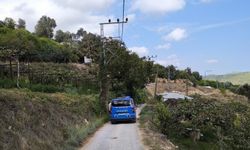 Yeni nişanlı çifti ölüm ayırdı: Önce elektrik çarptı, sonra trafik kazası geçirdiler
