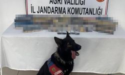 Ağrı’da bin 227 paket gümrük kaçağı sigara ele geçirildi