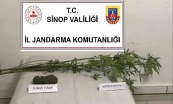 Sinop’ta kenevir ve kubar esrar ele geçirildi