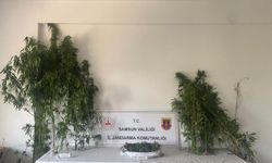 Jandarmadan iki ayrı uyuşturucu operasyonu: 3 gözaltı