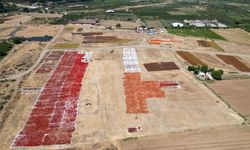 Gediz Ovası kurutmalık ürünlerle renklendi