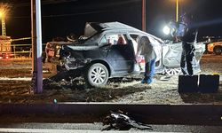 Tomruk yüklü kamyonla çarpışan otomobil sürücüsü öldü