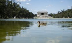 Washington'da günlük yaşam