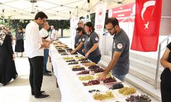 Tekirdağ'da geliştirilen 23 üzüm çeşidi tanıtıldı