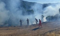 Tunceli'de çıkan orman yangını kontrol altına alındı