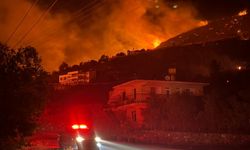 Antalya'nın Alanya ilçesinde ormanlık alanda yangın çıktı