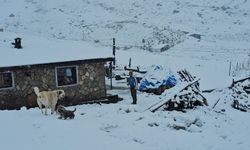 Rize'de yüksek kesimlere kar yağdı