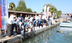 Muğla'da 160 bin balık yavrusu denize bırakıldı
