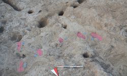 Hatay'daki Tell Kurdu Höyük'te 7 bin yıllık insan ayak izleri bulundu
