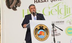 Alanya'da keçiboynuzu hasat şenliği yapıldı
