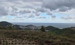 Amasra'da denizin rengi değişti