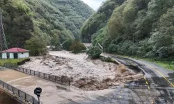 Artvin'de şiddetli yağışlar sonucu kapanan Borçka-Camili kara yolu ulaşıma açıldı