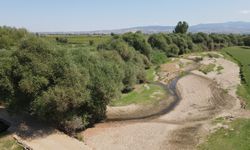 Gediz Nehri’nde alarm