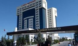 Tarım ve Orman Bakanlığı’ndan Sert Müdahale: 286 Kilo Bozulmuş Et İmha Edildi