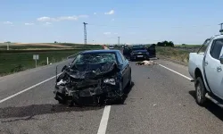 Kastamonu'da otobüs ve cipin kara yolunda çarptığı 3 inek telef oldu