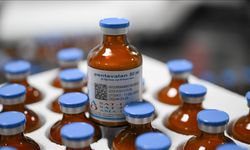 Şap hastalığının yeni serotipine karşı yaklaşık 15 milyon doz aşı sahaya sevk edilecek