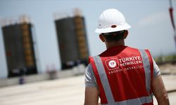 KİT'lerde en yüksek ödenek 332,6 milyar lirayla TPAO'ya verildi
