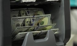 Finansal kesim dışındaki firmaların net döviz açığı temmuzda azaldı