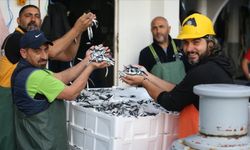 Karadeniz'de hamsi bolluğu balıkçıların yüzünü güldürdü
