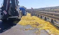 Kamyonet bariyerlere çarptı kilolarca patates yola saçıldı